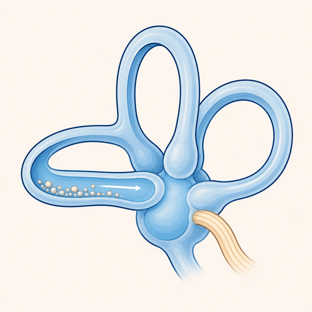 BPPV and the Epley Maneuver: Understanding Positional Vertigo